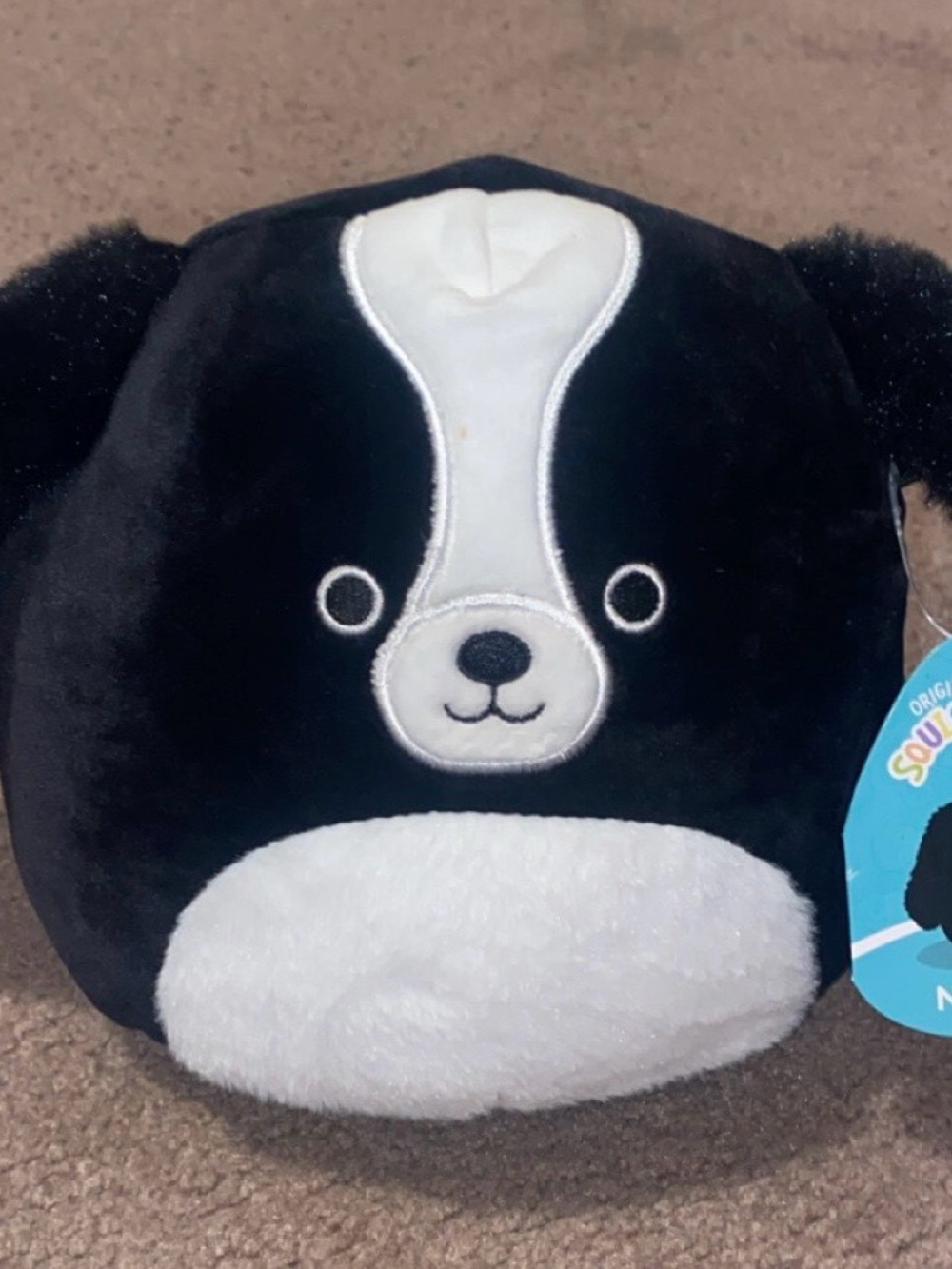 Nathaniel squishmallow Plush Black and White Puppy 8 in